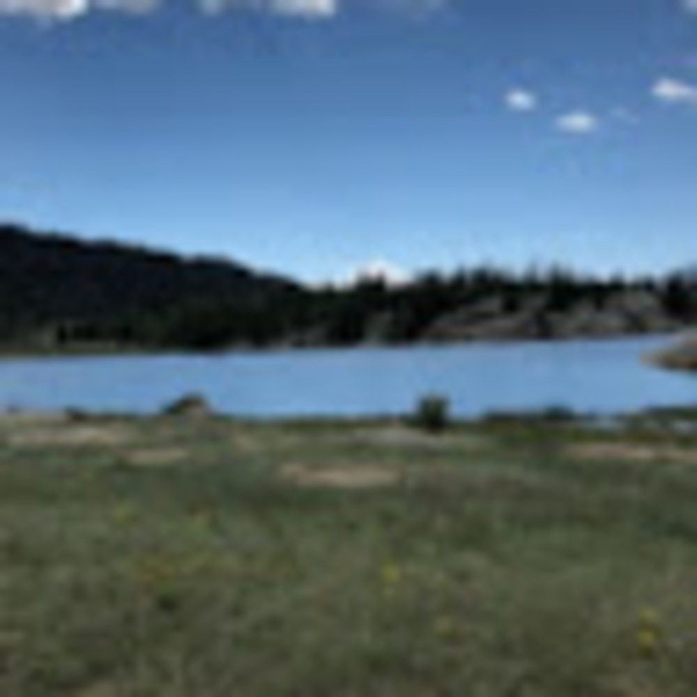 Meet your Posher, Trina